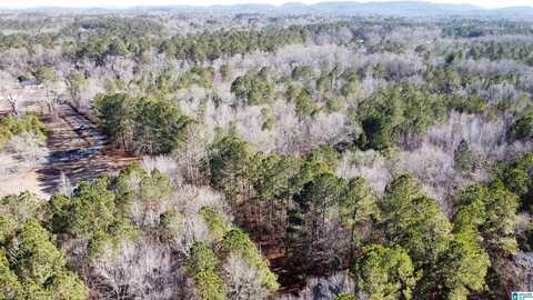 0 E HIGHWAY 278, GLENCOE, AL 35903