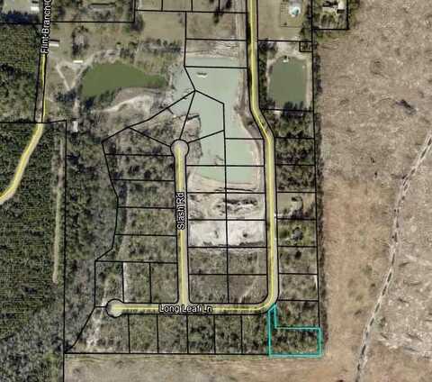 Lot 16 & 17 Long Leaf Lane, Jesup, GA 31545