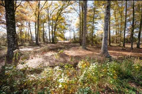 Lot 12 Southern Oaks, Conway, AR 72032