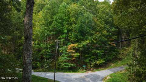 Stepping Stone Drive, Sevierville, TN 37862