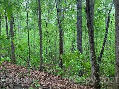 1348 Sir Edward Court, Catawba, NC 28609