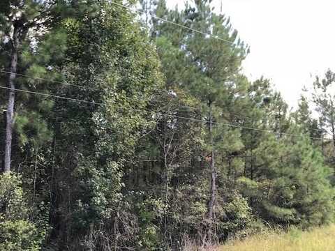 0 Jim Pitts Rd, Waynesboro, MS 39367