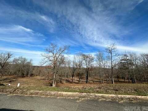 lot 27 W River Road, Mayflower, AR 72106