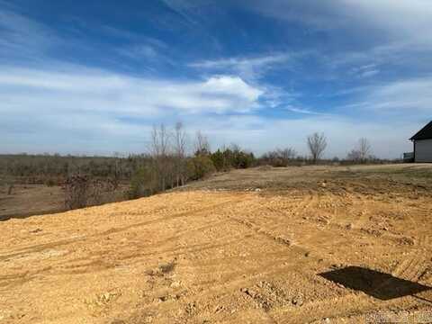 lot 37 W River Road, Mayflower, AR 72106