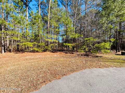 31 Bennetts Creek Drive, Hertford, NC 27944