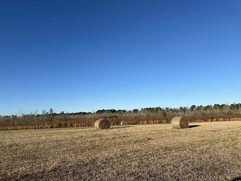 122 AC FC Cox Rd., Hemingway, SC 29554