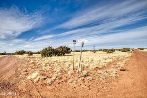 1xx N9034 --, Concho, AZ 85924