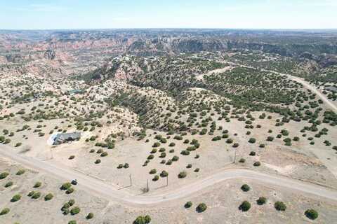 10450 INDIAN CAMP Trail, Canyon, TX 79015