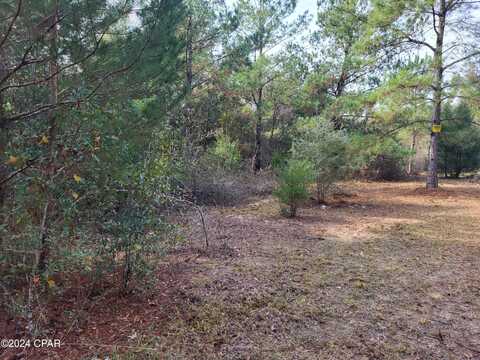 00 Womble Road, Altha, FL 32421