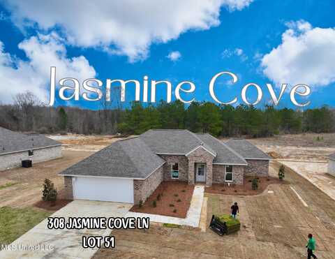 308 Jasmine Cove Lane, Brandon, MS 39042