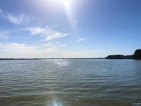 Lot 14 Little River Landing, Cedar Bluff, AL 35959