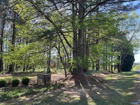 Lot 1 Beech Ridge, Gadsden, AL 35901