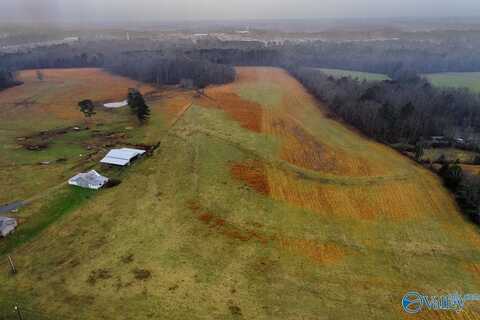 10 +/- Acres Union Hill Road, Ardmore, TN 38449