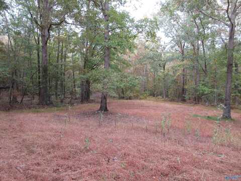 1958 County Road 158, Stevenson, AL 35772