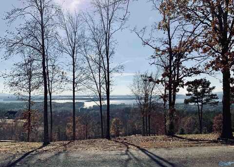 Lot 21 County Road 1015, Cedar Bluff, AL 35959