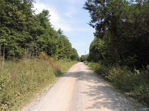 22.4 Acres County Road 9, Moulton, AL 35650