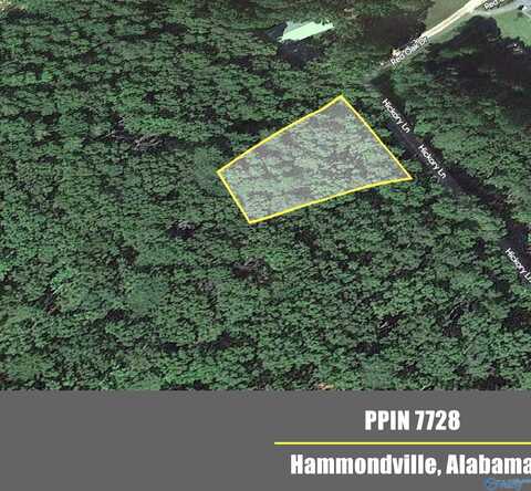 Lot 6 Hickory Lane, Valley Head, AL 35989