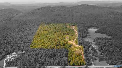 10675 29 Acres Shoal Creek Road, Ashville, AL 35953