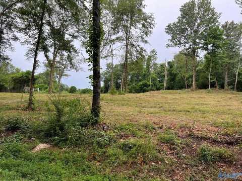 Lot 4 Cherrywood Drive, Guntersville, AL 35976