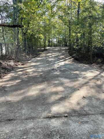 7081 County Road 47, Blountsville, AL 35031