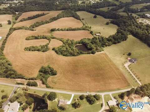 75 Acres Lane Switch Road, Albertville, AL 35950