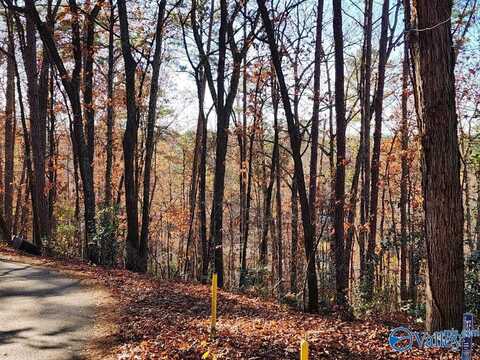 .92 Acres Forest Road, Gadsden, AL 35901