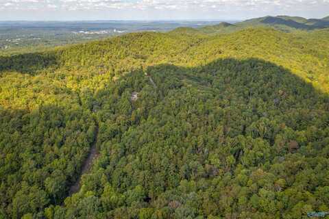 #2 32 Acres Highland Woods, Jacksonville, AL 36265