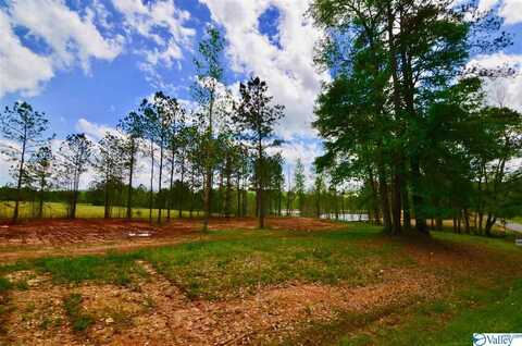 Lot 2 Church Circle, Gadsden, AL 35901