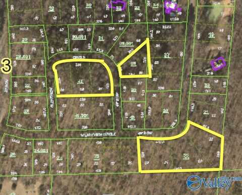 5.3 Acres +/- Valley View Street, Hokes Bluff, AL 35903