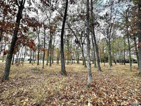 Approx 1 Acre Mar-Lyn, Gadsden, AL 35901