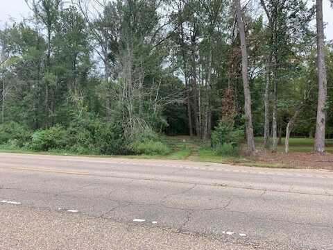 0 HIGHWAY 190 Highway, Robert, LA 70455