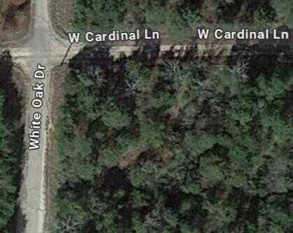 Corner Lot Cardinal & White Oak, Diamond City, AR 72644