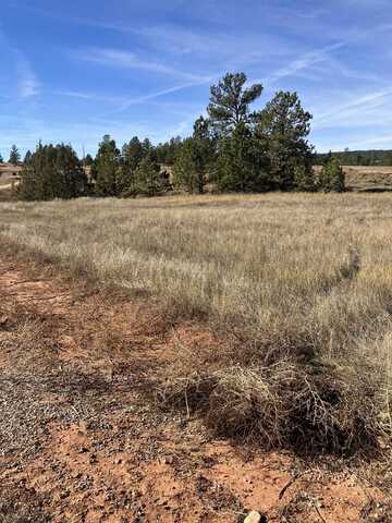 Pasque Flower Trail, Hot Springs, SD 57747