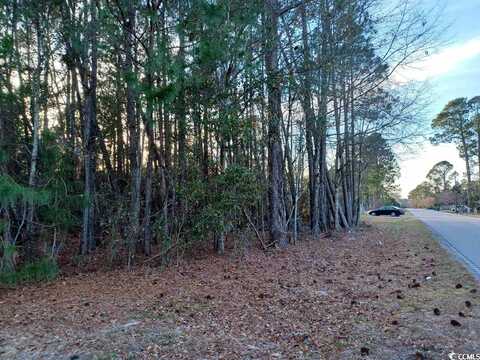 Lot 1C Peach Tree Rd., Marion, SC 29571