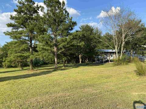 3568 Hopewell Road, Arab, AL 35016