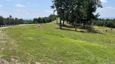 Lot 52 County Road 767, Cedar Bluff, AL 35959