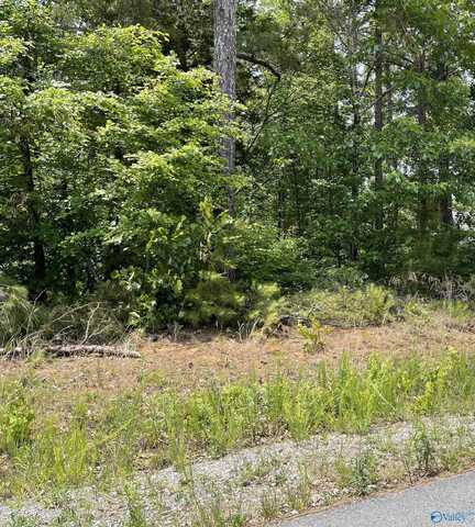 Lot 5 Mini Farm Road, Grant, AL 35747