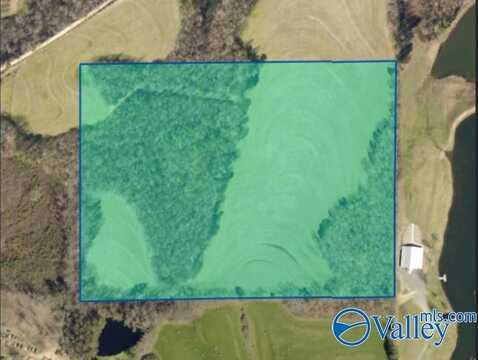 30 Acres County Road 1908, Albertville, AL 35950