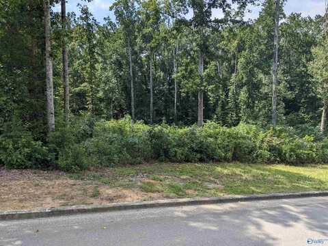 Lot 6 & 7 Noel Street, Boaz, AL 35957