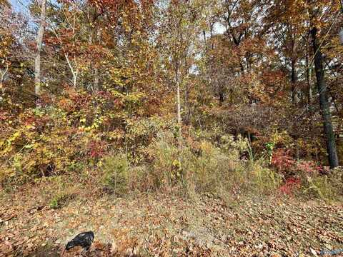 Lot 11 Garrison Drive, Gadsden, AL 35901