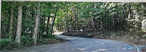 2.9 Acres Keel Mountain Road, Gurley, AL 35748