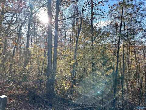 10 Ac County Road 1209, Vinemont, AL 35179