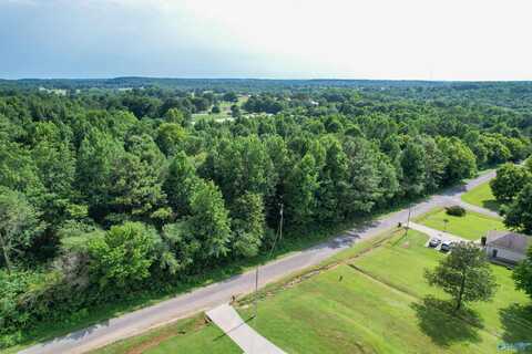 360 County Road 1123, Vinemont, AL 35179