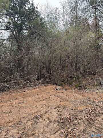 107 Lot Drew Drive, Hollywood, AL 35752