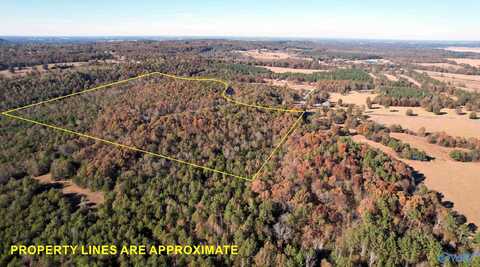 35 Acres County Road 257, Town Creek, AL 35672