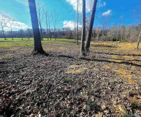 Lot 14 Thompson Road, Altoona, AL 35952