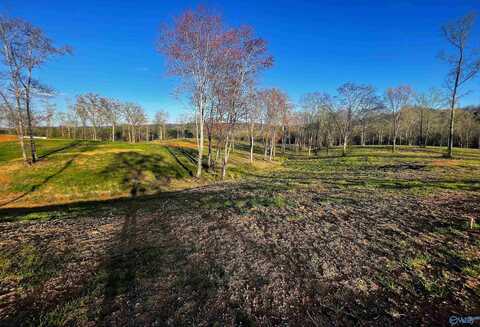 Lot 25 Thompson Road, Altoona, AL 35952