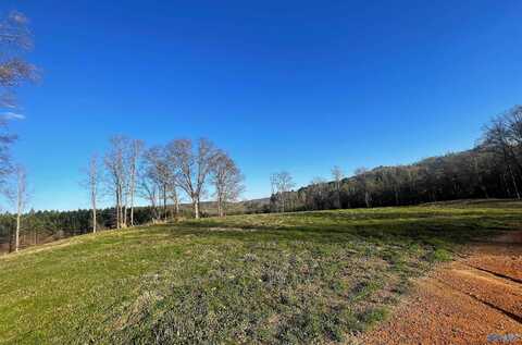 Lot 30 Thompson Road, Altoona, AL 35952