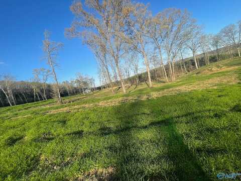 Lot 31 Thompson Road, Altoona, AL 35952