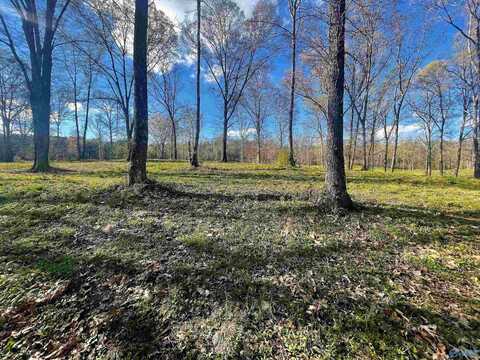 Lot 19 Thompson Road, Altoona, AL 35952